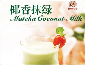 奶熊饮品站——优质产品与加盟支持解析